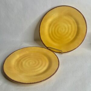 Home Melamine Dinner Plates 10-1/2 Inch Yellow Gold Rustic Swirl Set of 2